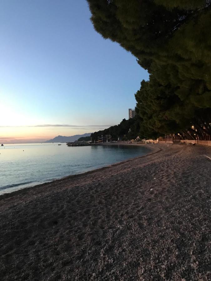 Villa Radic Makarska Dış mekan fotoğraf