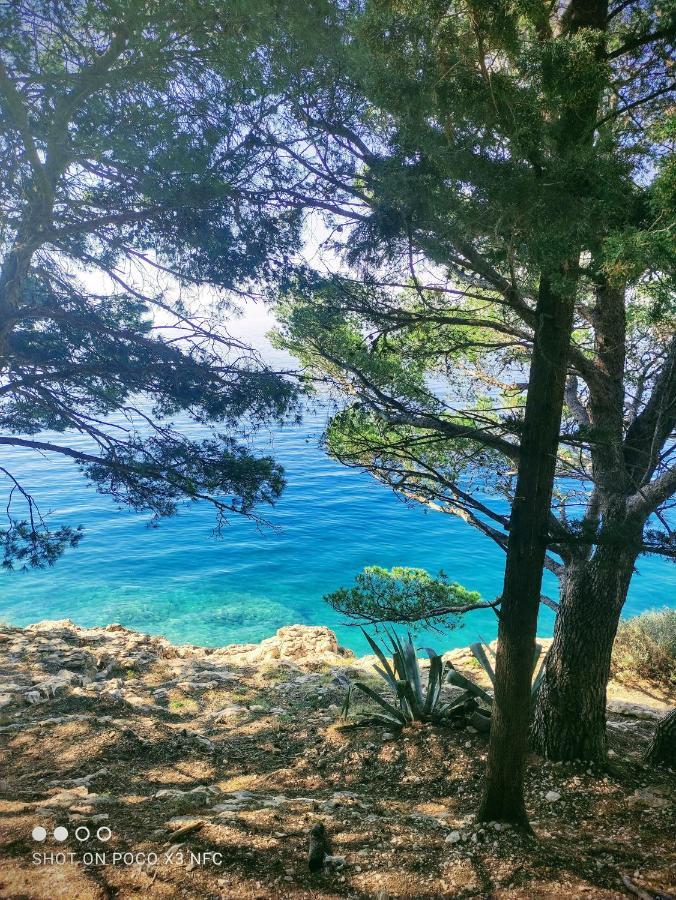 Villa Radic Makarska Dış mekan fotoğraf